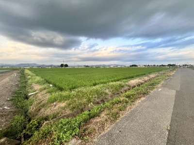 【外観】 | 太田市龍舞町3600　農地