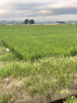 【外観】 | 太田市龍舞町3600　農地