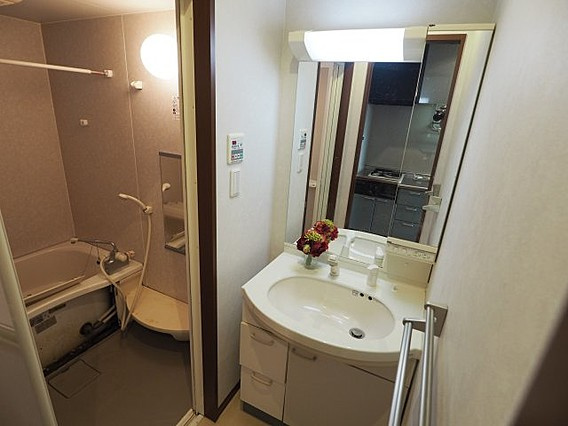 シャーメゾン本山北町の洗面所