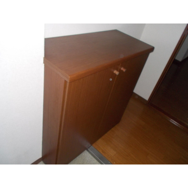 フィネスエル8の玄関