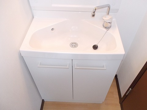 アメニティハイツ Ⅱの洗面所