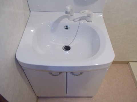 REIマンションの洗面所