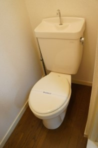 グリーンヒルズ上水本町のトイレ