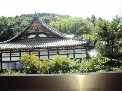 シェモア神宮道の展望