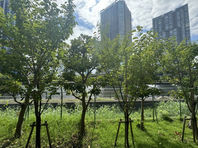 ファミール浜園の周辺|1階ですが全面は運河で陽当たり眺望良好良好です♪