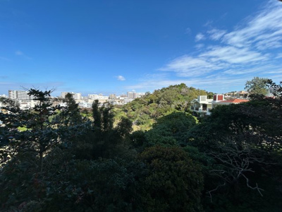 【その他】 | 首里ハイム観音堂前