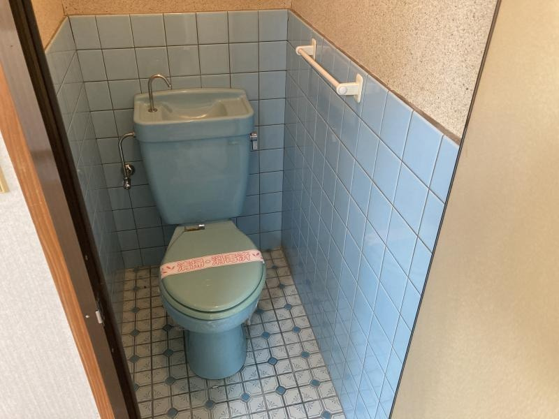 中越コーポのトイレ|物件の画像8