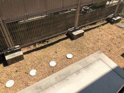 【庭】 | フレ ブランシュ