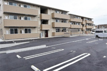 ロイヤルサンAの画像