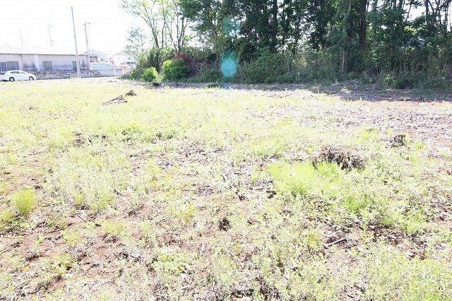 古河市諸川　全2区画の外観|北東側より（2024年5月撮影）