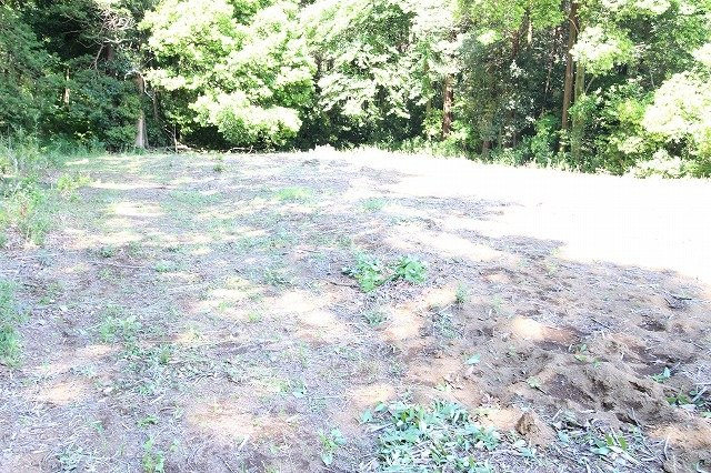 古河市諸川　全2区画の外観|北西側より（2024年5月撮影）