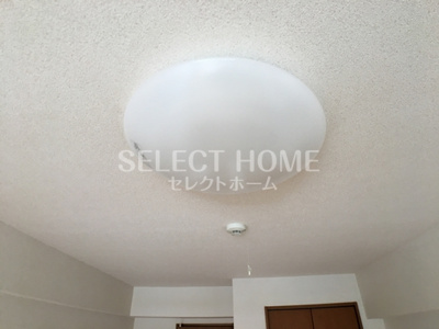  | プリミエール羽根