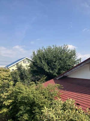 【展望】 | ペニーレーン A