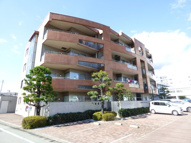 ヒカワフラットIの画像