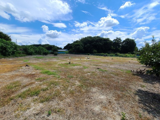 【前面道路含む現地写真】の画像