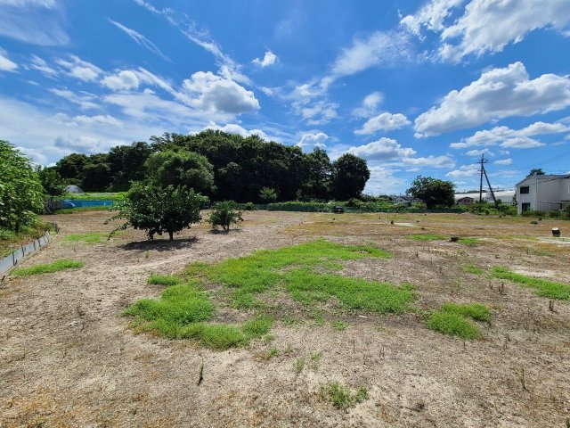 【前面道路含む現地写真】の画像