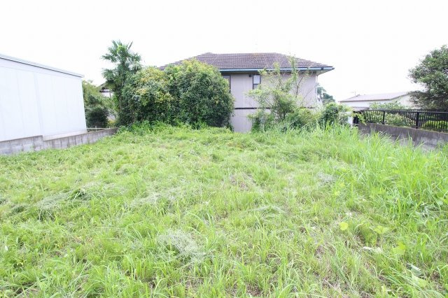 筑西市築地の外観|敷地の中央から南側（2024年7月）