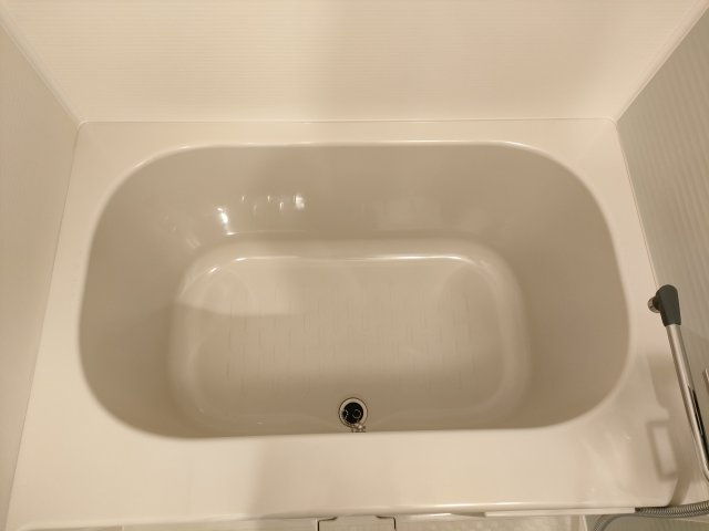 ルフレプレミアム新小岩の浴室