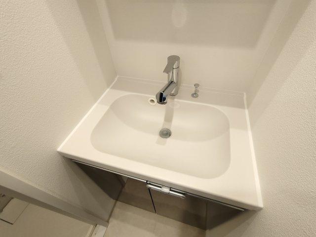 ルフレプレミアム新小岩の洗面所