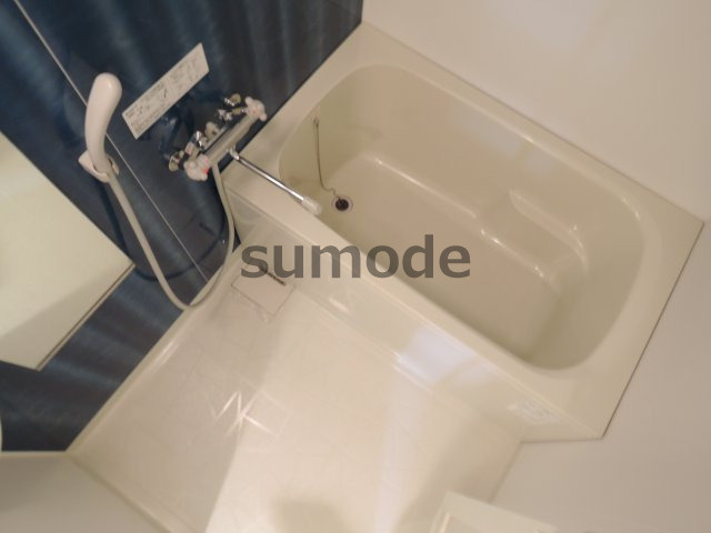 デルスールラローザの浴室