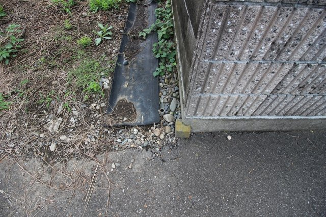 小山市立木の外観|2019年8月撮影