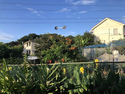 【展望】 | 川口市峯貸家