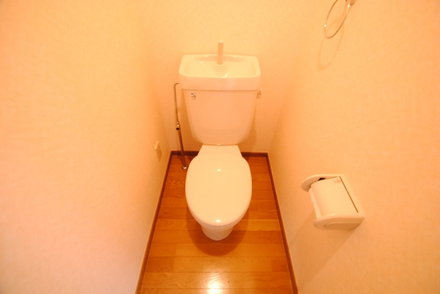 ドリームハウスⅢのトイレ|同型物件　イメージ写真