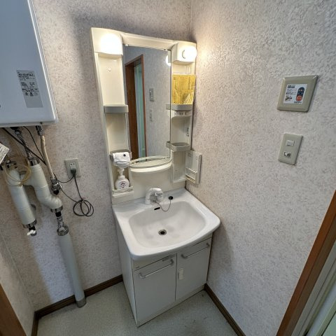 グランドハイム　ぽちたま２１の洗面所