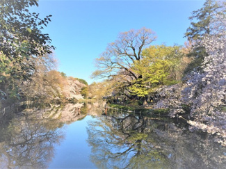 井の頭恩賜公園まで1100m
