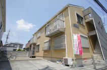 グリーンシュナウザーの画像