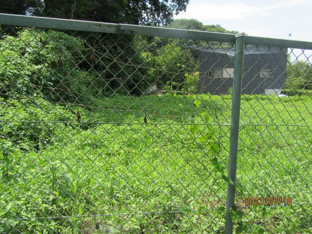 佐野市黒袴町|北東側より（2023年7月撮影）