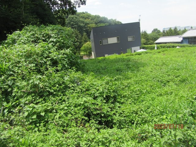 佐野市黒袴町|東側より（2023年7月撮影）