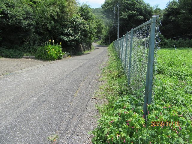 佐野市黒袴町|北東側道路（2023年7月撮影）