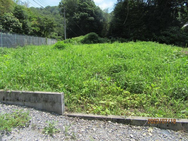 佐野市黒袴町|北西側より（2023年7月撮影）