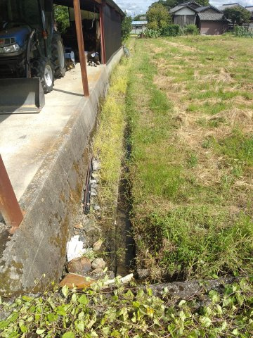 高島市新旭町北畑346坪農地付き土地の外観