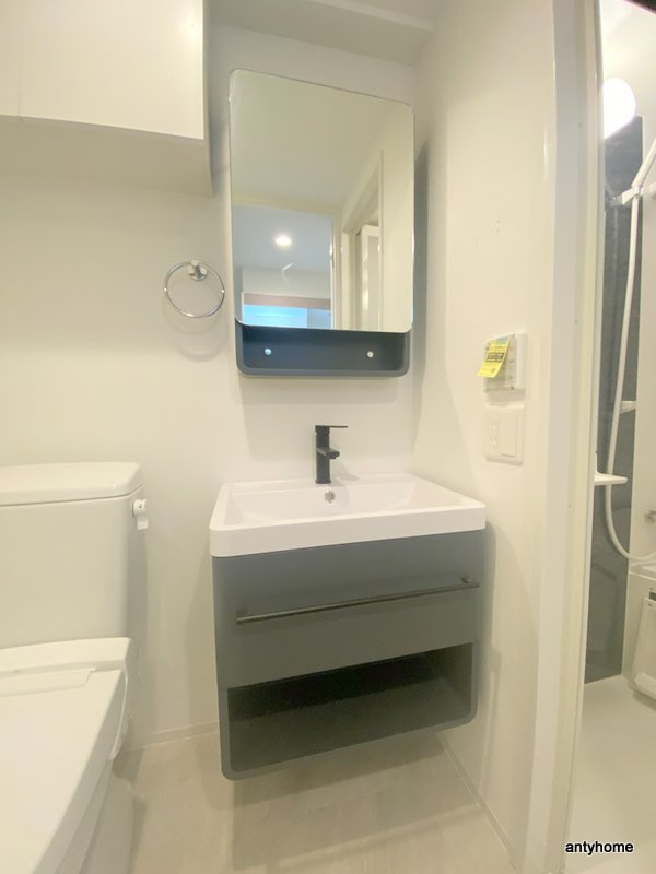 セレニテ東三国ミラク　仲介手数料無料の洗面所