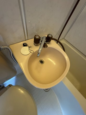 パレス東大宮の洗面所