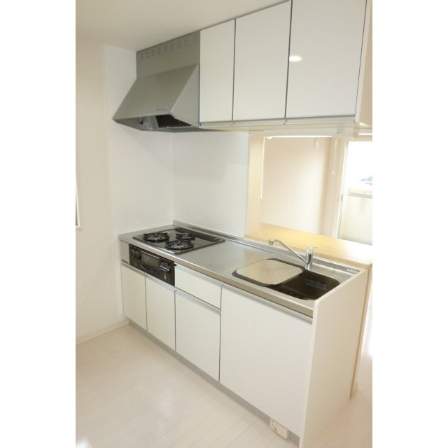 カーサ・レイデンのキッチン|キッチンです