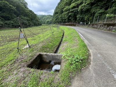 【外観】 | 丹波篠山市箱谷　農地