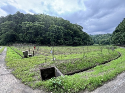 【外観】 | 丹波篠山市箱谷　農地