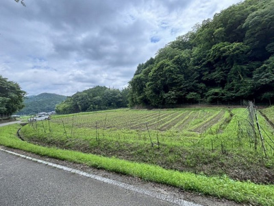 【外観】 | 丹波篠山市箱谷　農地