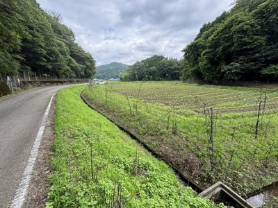 【外観】 | 丹波篠山市箱谷　農地