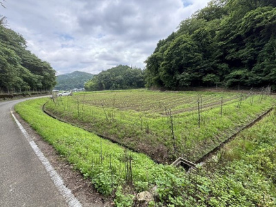 【外観】 | 丹波篠山市箱谷　農地