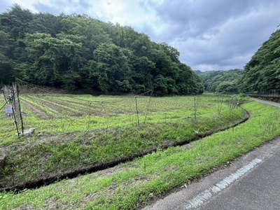 【外観】 | 丹波篠山市箱谷　農地