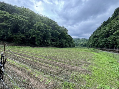 【外観】 | 丹波篠山市箱谷　農地