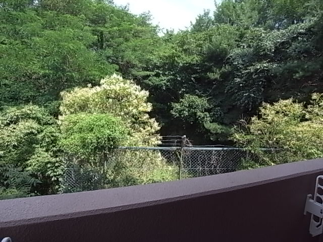 神戸市北区鈴蘭台東町２丁目の賃貸マンションの展望|眺望