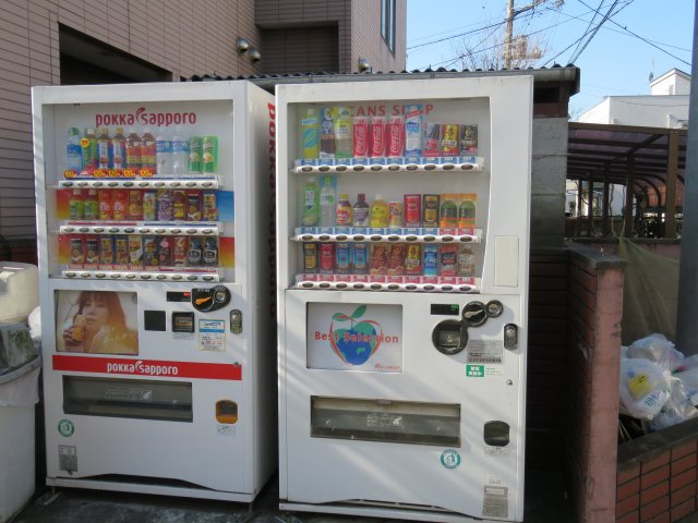 ロイヤルコーポTIU　A棟のその他共用部分