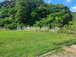 十九渕畑売り地