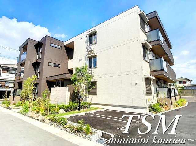 Ｔｉｅｄｅｕｒ