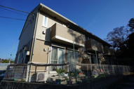 Peti natureの画像
